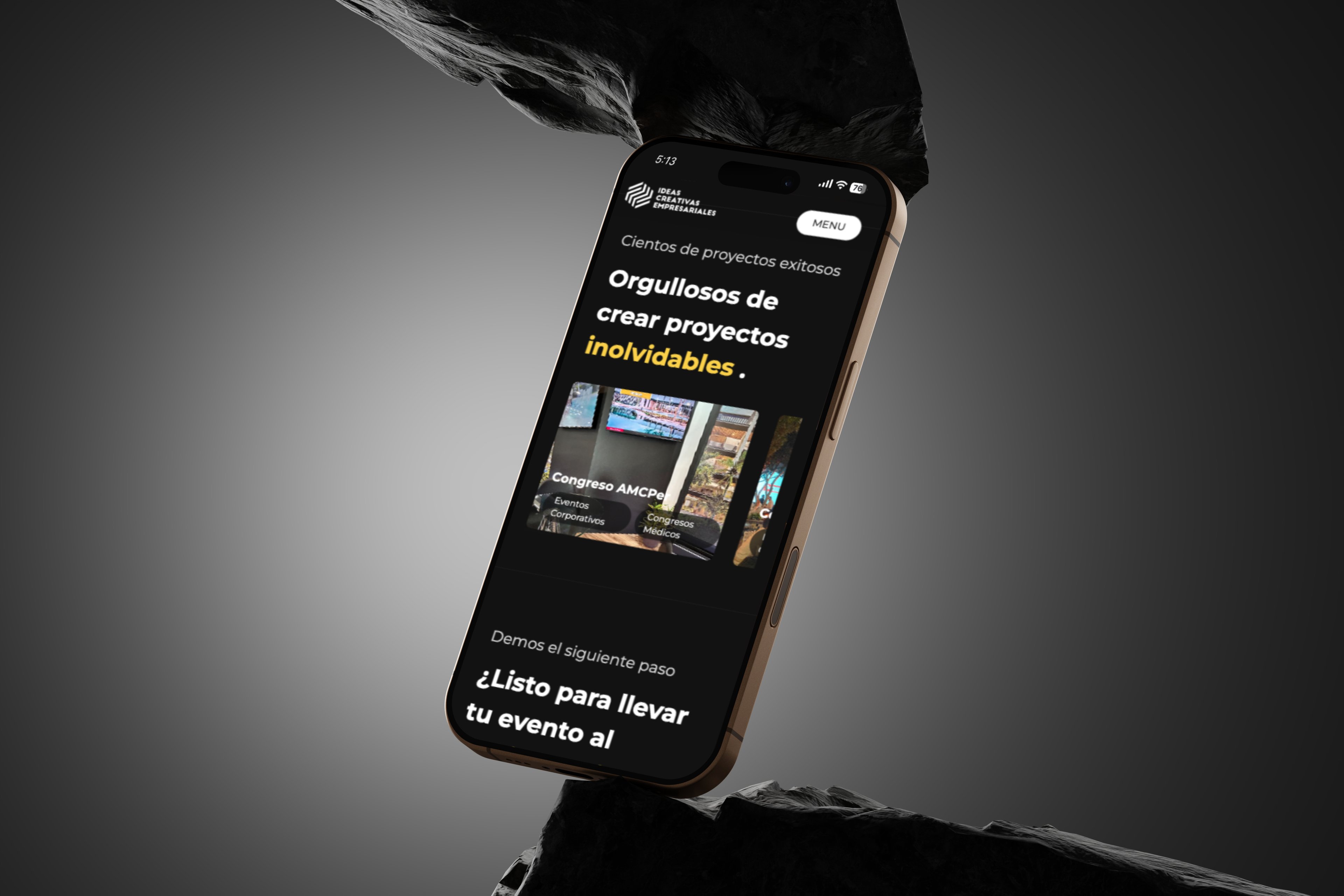 Project showcase